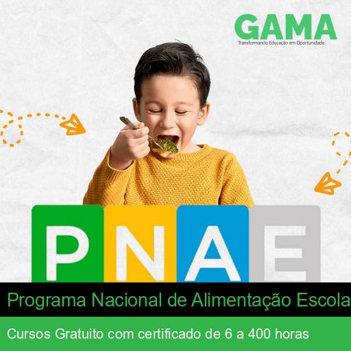 Programa Nacional de Alimentação Escolar (PNAE)